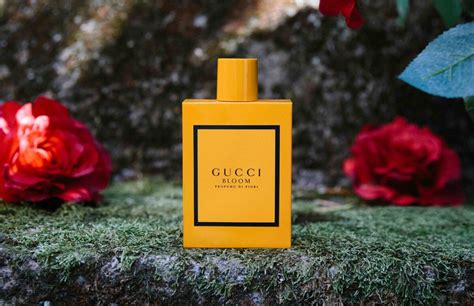 gucci profumo amazon|gucci bloom longevity.